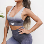 Load image into Gallery viewer, Seamless Gradient Sports Bra