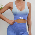 Load image into Gallery viewer, Seamless Gradient Sports Bra