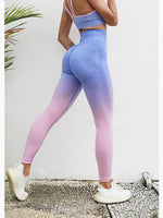 Load image into Gallery viewer, Seamless Gradient Leggings