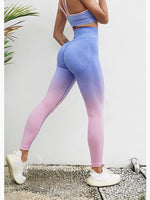 Load image into Gallery viewer, Seamless Gradient Leggings

